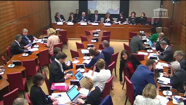 Commission du développement durable : M. Roger Genet, directeur général de l’ANSES - Mercredi 12 février 2020