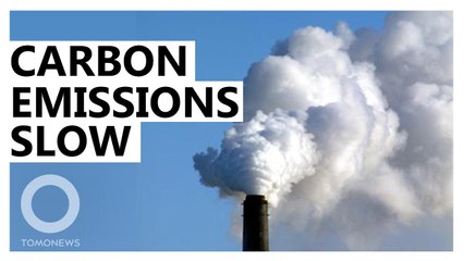 Global CO2 emissions plateaued last year: Report