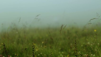 Le Cause Perse - L' EREMITA (Official Video)