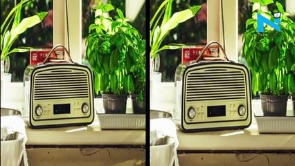 #WorldRadioDay : Theme, history and significance