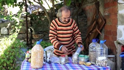 Ata tohumuyla serada organik sebze üretimi