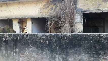 फतेहपुर :बीस वर्षों से एनम सेंटर की नही हुई मरम्मत