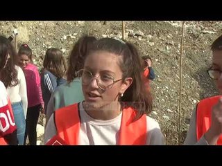 Pemë kundër erozionit/ Nisma në Gjirokastër në zonat me rrëshqitje dheu