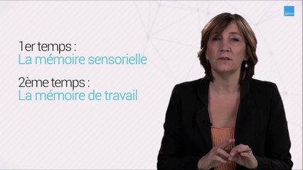 Mooc : le processus de mémorisation
