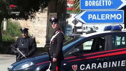 Palermo - Palestra trasformata in supermarket del doping, 4 arresti (12.02.20)