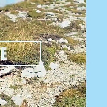 We are getting closer and closer! Rigorous testing!