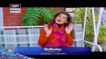 Bulbulay Season 2 _ Episode 40 _ Promo _ ARY Digital Drama