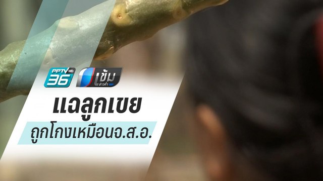แม่ยายทหารโคราช แฉยับ ลูกเขยถูกโกงเหมือนจ.ส.อ. | เข้มข่าวค่ำ