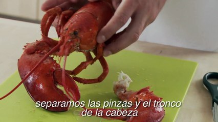 Tutorial de cómo abrir una langosta