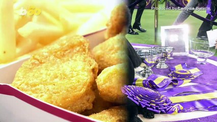 Westminster’s ‘Best In Show’ Poodle is Addicted To McDonalds and Ate It Before Winning!