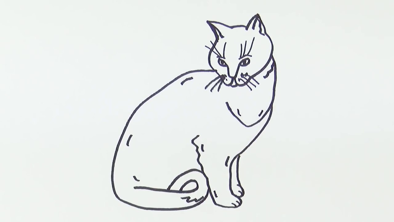 Learn how to Draw a Cat Easy