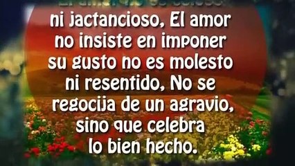 Frases Bonitas Sobre la Vida y el Amor