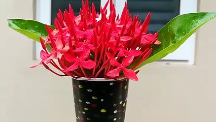 How to make flower vase from paper cup and acrylic colors