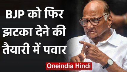 Maharashtra: BJP को एक और झटका देने की तैयारी में Sharad Pawar | वनइंडिया हिंदी