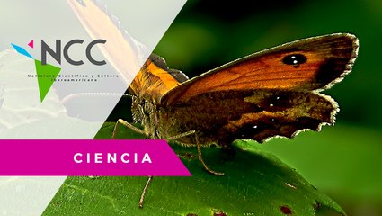 La pre­ser­va­ción de la flo­ra co­lom­bia­na es el eje de este agro­par­que