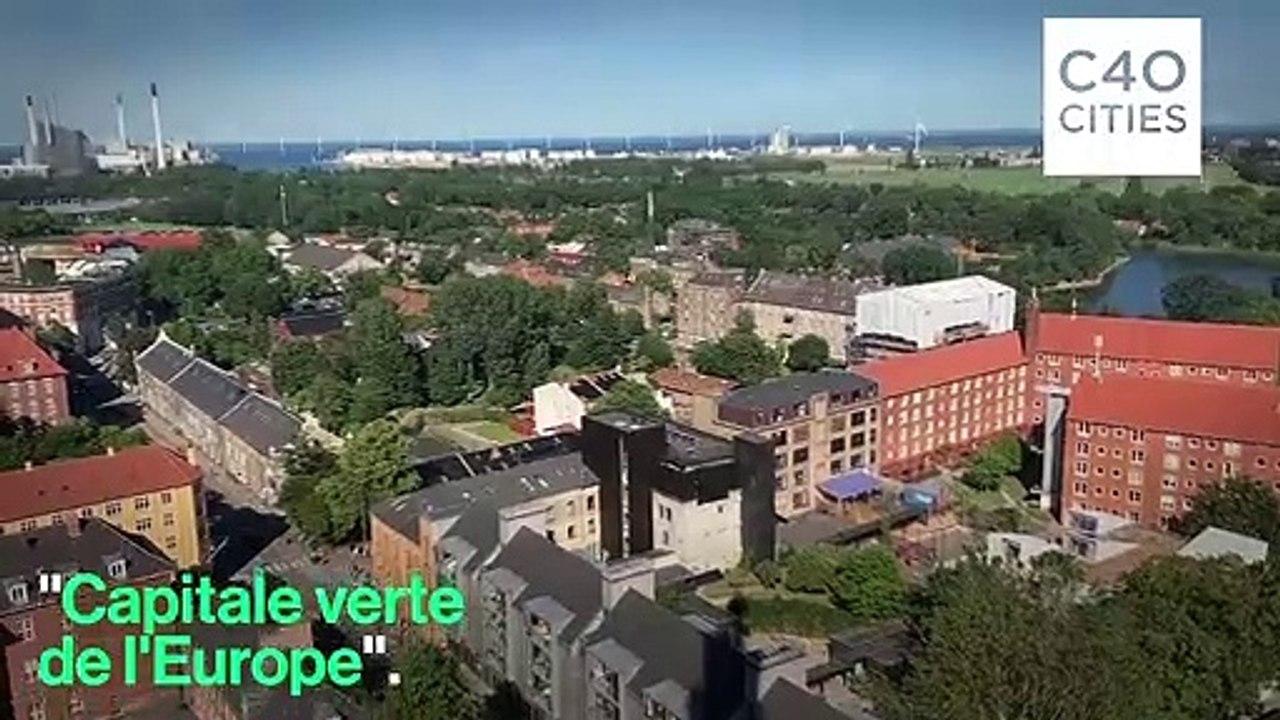 Cantines bio, vélos…Copenhague, la "Capitale verte de l'Europe"