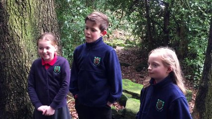 Loxley Primary School join campaign to celebrate Robin Hood