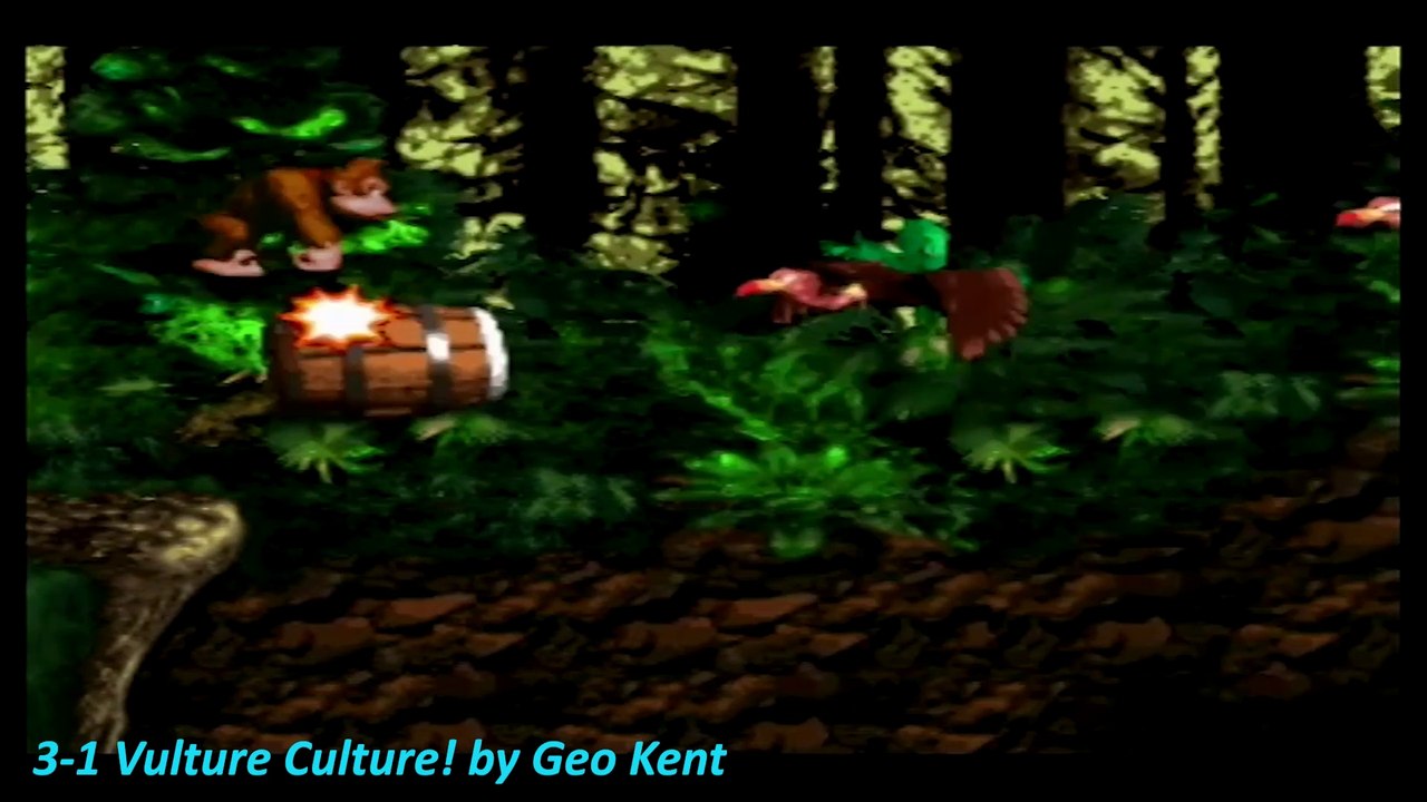 Donkey Kong Country 3-1 Vulture Culture!