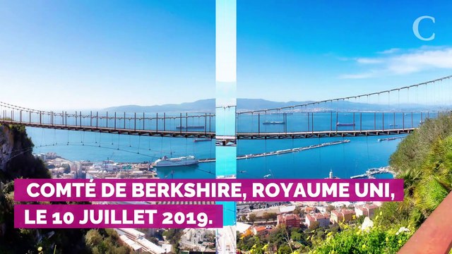 Harry et William si différents : ces traits de caractère qui le prouvent