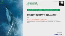 Conférence-concert : Les chants de baleines