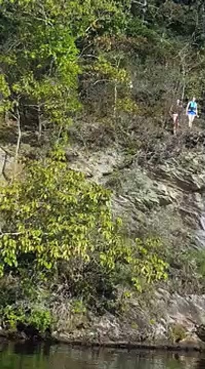 Plongeon gracieux depuis une falaise