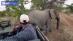 Cet éléphant vient se gratter contre une voiture de touristes