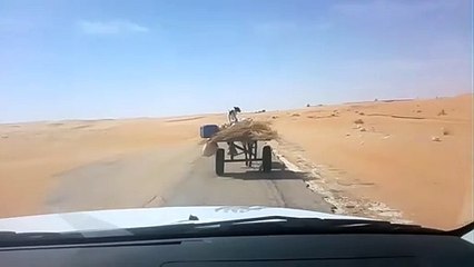 Regardez qui dirige cette calèche et cet ane...