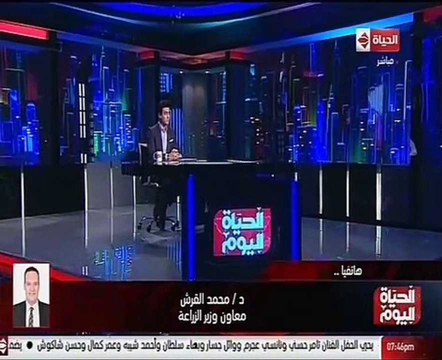 الزراعة: محطة الزهراء للخيول النواة الأساسية لرعاية الخيول العربية الأصيلة وبها تطور كبير