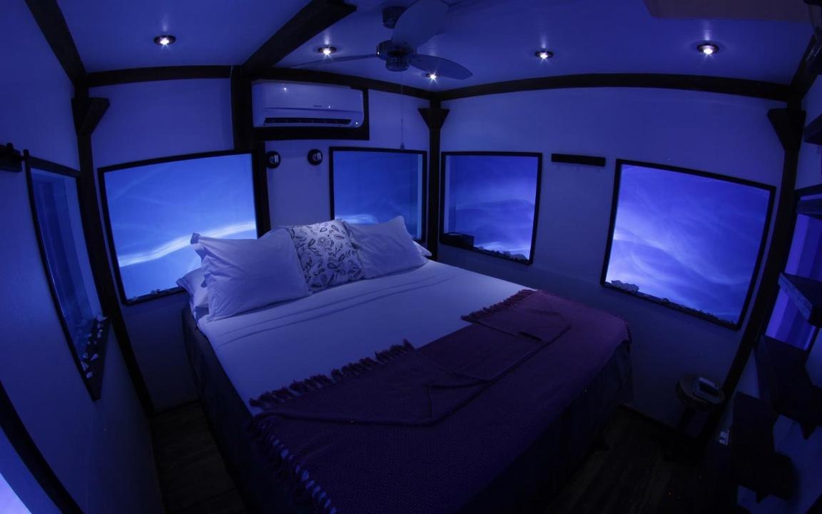 From Dive-in Suites With Pizza Delivery to Luxury Rooms Surrounded by Fish, These Are the Best Underwater Hotels