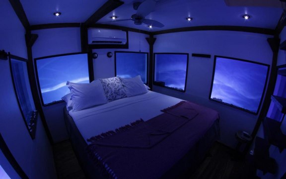 From Dive-in Suites With Pizza Delivery to Luxury Rooms Surrounded by Fish, These Are the Best Underwater Hotels