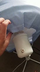 Kitty Guarding His Fort