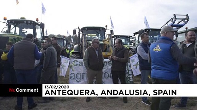 Испания: власти готовы поддержать фермеров