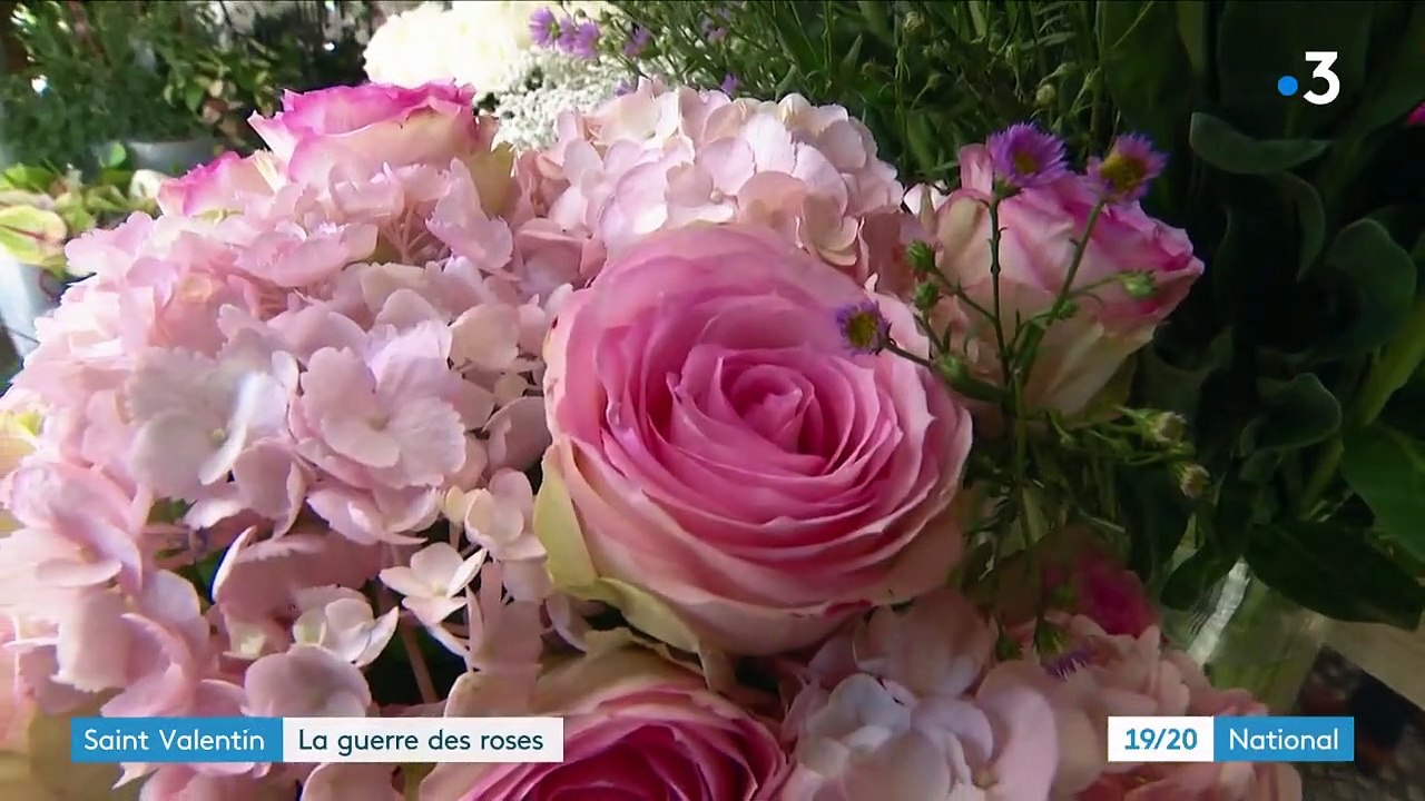 Saint-Valentin : la rose française se raréfie