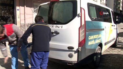 Bornova'da 9 köpek ve 2 kedi yavrusu zehirlenerek öldürüldü