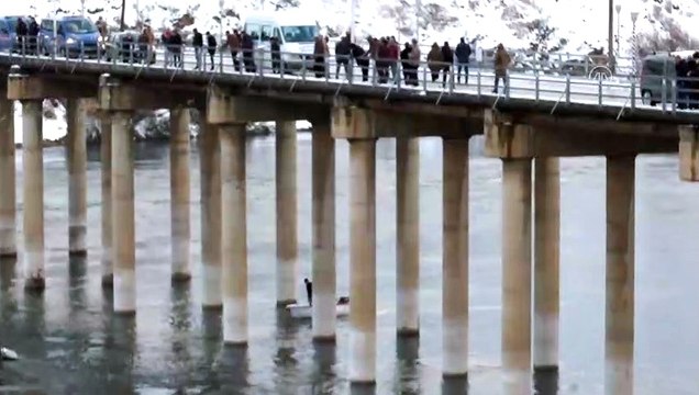 Fırat Nehri'nde batan teknedeki kişi için arama çalışması başlatıldı - ELAZIĞ