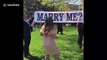 Heartwarming moment newly graduated woman overwhelmed by surprise proposal