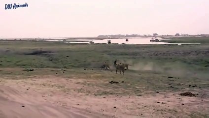 완도출장서비스 완도출장서비스O1OE2104E4640｛카톡MBM6｝ 완도출장마사지샵 완도출장안마on완도출장안마cos여3♪⇔∃마사지황형♥◨≪