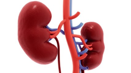Chronic Kidney Disease Is 'Global Killer In Plain Sight'