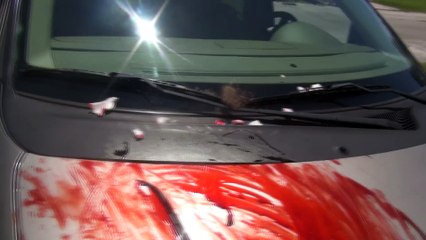 Angry Grandpa - The Hit & Run PRANK!