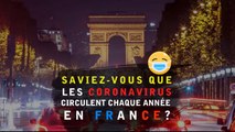 Saviez-vous que les coronavirus circulent chaque année en France ?