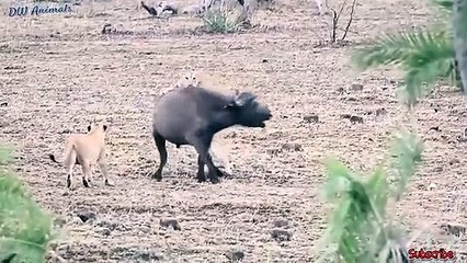 공주출장서비스 공주출장서비스O1OE6683E6402｛카톡GMC3 라인gmc3｝ 공주출장마사지샵 공주출장안마on공주출장안마cos여3♪⇔∃마사지황형♥≨≪