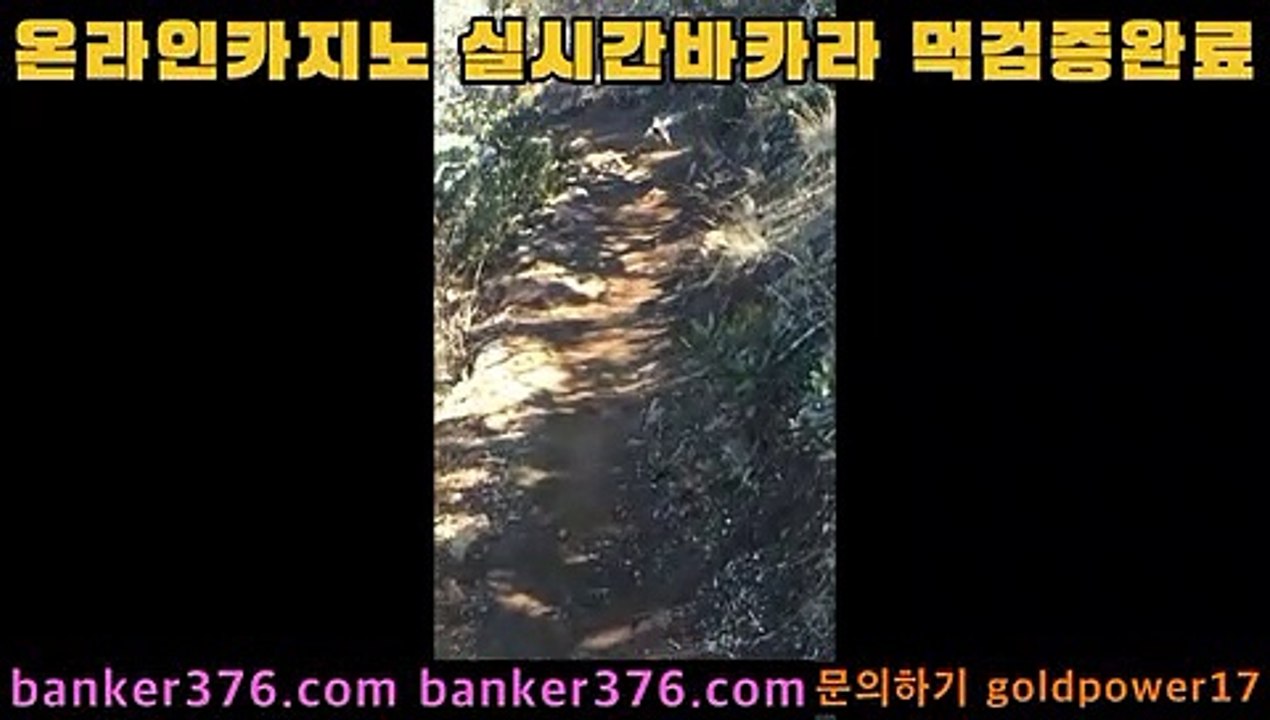리얼카지노ㅡ_ㅡ바카라사이트추천- ( Ε禁【 golca88 。ＣoＭ 】銅) -바카라사이트추천 인터넷바카라사이트 온라인바카라사이트추천 온라인카지노사이트추천 인터넷카지노사이트추천ㅡ_ㅡ리얼카지노