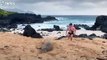 Un homme frappe un phoque sur une plage sans raison et va le regretter