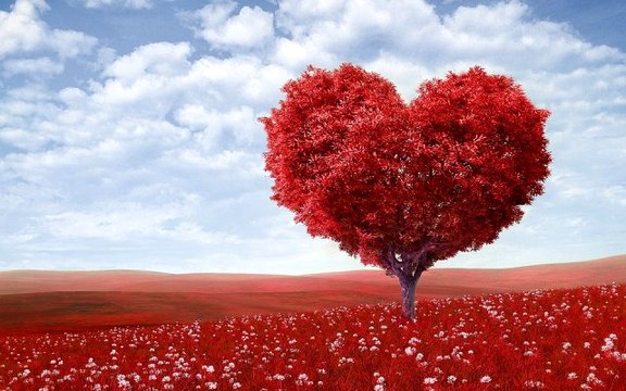 Sevgililer günü mesajları, sevgili sözleri ve sevgililer günü sözleri! En güzel sevgililer günü sözleri ve anlamlı sevgililer günü mesajları