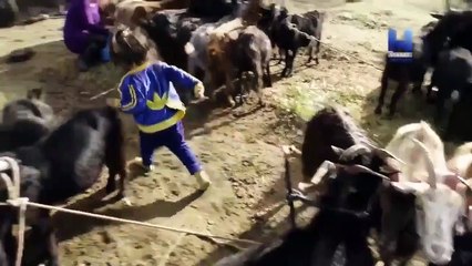 Savaşcı Kadınlar - Amazonlar