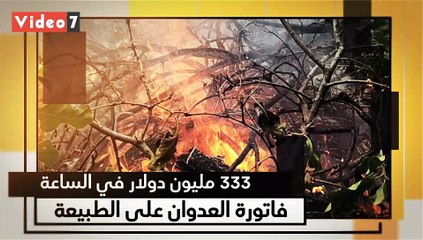 الساعة بـ333 مليون دولار.. فاتورة العدوان على الطبيعة.. حقائق وأرقام كارثية