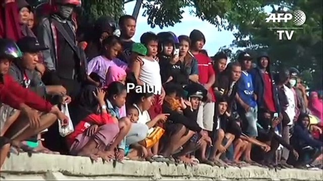 Aussie croc wrangler joins Indonesia bid to save tyre-tied reptile