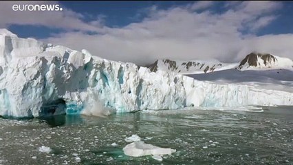 Record de température en Antarctique : plus de 20° enregistrés