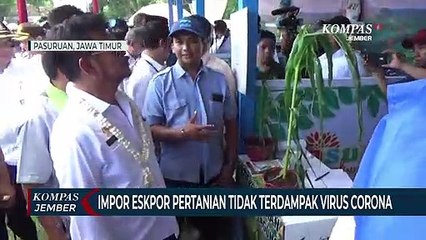 Impor Eskpor Pertanian Tidak Terdampak Virus Corona