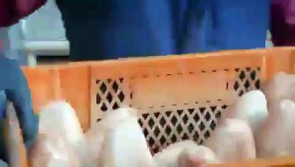 İBB halk ekmeğin fiyatını 75 kuruşa sabitledi